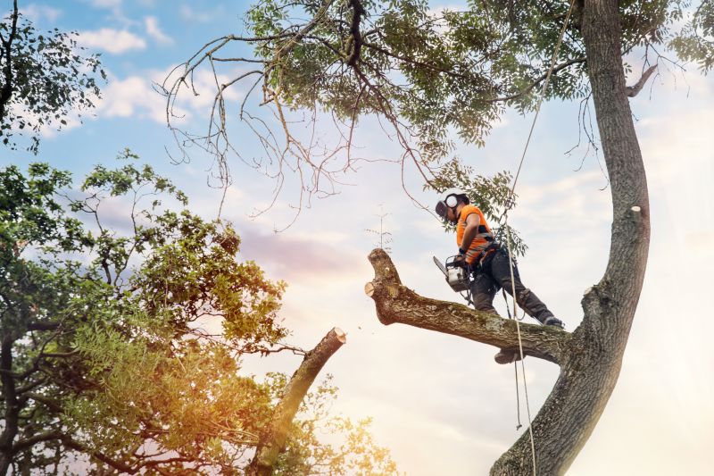 Arbor Tree Service