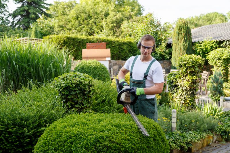 Commercial Garden Maintenance