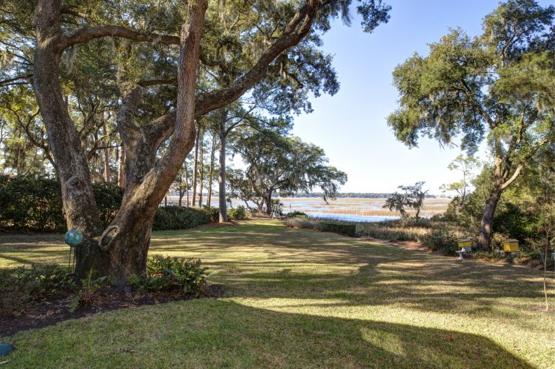 Arbor Tree Service Cost — Cost of Arbor Tree Service