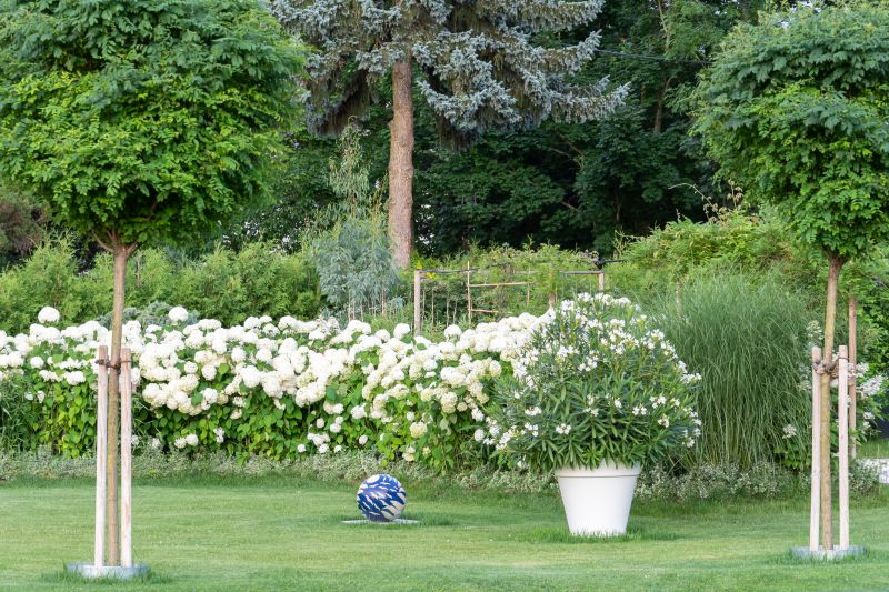 Lush Tree Arrangements